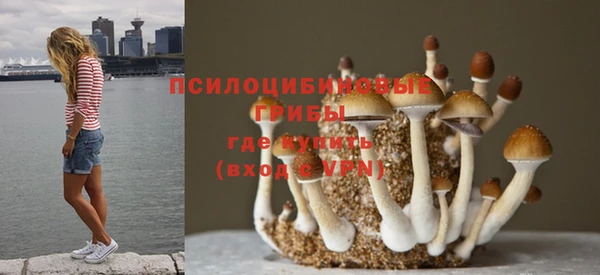 кокс Богородск
