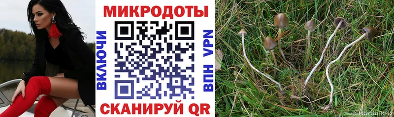 OMG как зайти  купить закладку  Костерёво  Псилоцибиновые грибы Psilocybe 